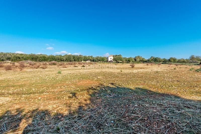 Foto af49be79-df53-4198-8235-776fd253b7bd. Masía venta de tres fs rústicas . en Cristo Rey-Parque Europa Inca