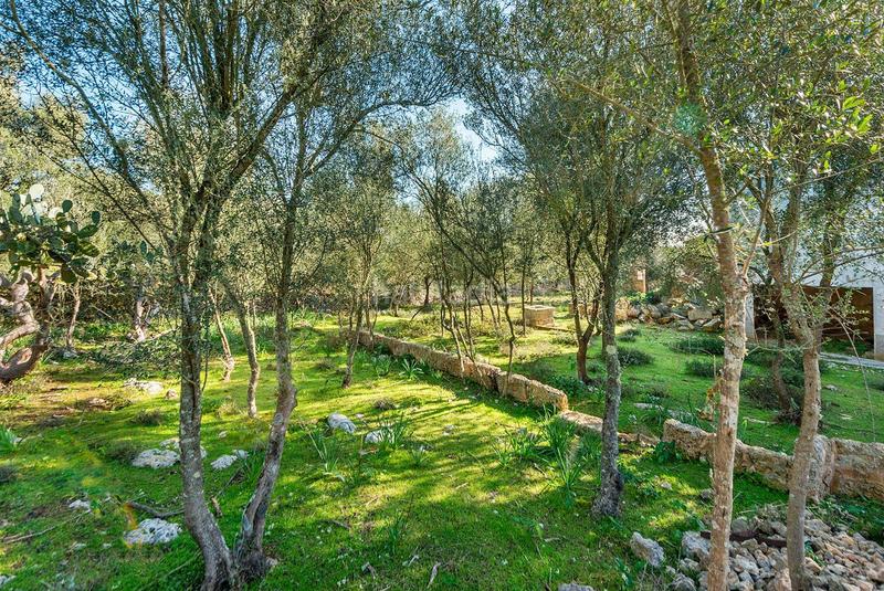 Foto b7a3930d-48e1-479b-bdd5-92f1ed143213. Masía venta de tres fs rústicas . en Cristo Rey-Parque Europa Inca