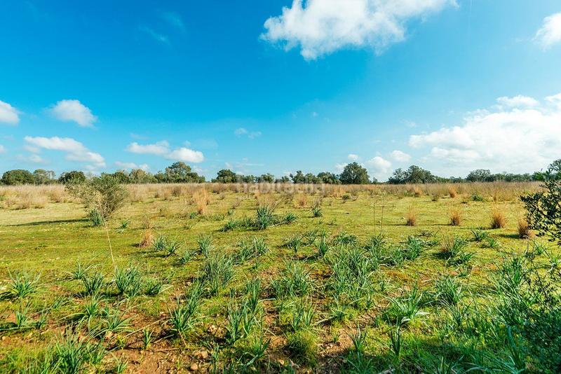 Foto c37a8b88-038e-4337-8f86-7f2cfc444685. Masía venta de tres fs rústicas . en Cristo Rey-Parque Europa Inca