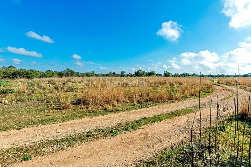 Foto da77ab14-a784-4ec0-bcc5-11187e01eb29. Masía venta de tres fs rústicas . en Cristo Rey-Parque Europa Inca