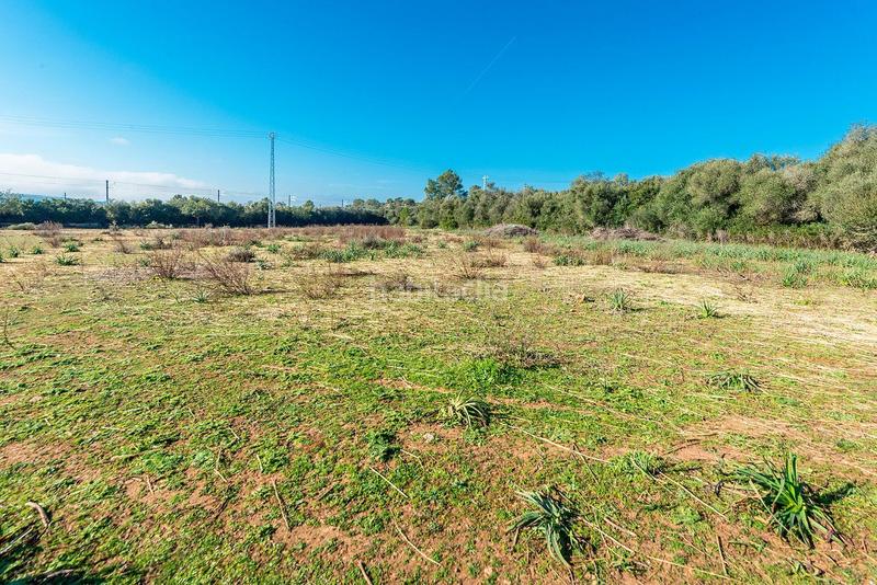 Foto dea83857-28b0-4ca2-a541-bff1540d0df1. Masía venta de tres fs rústicas . en Cristo Rey-Parque Europa Inca