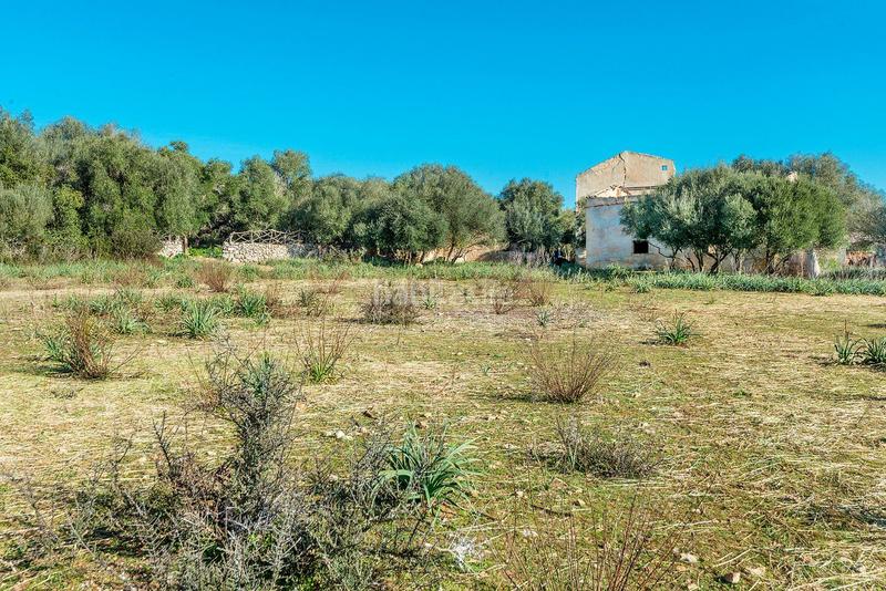 Foto f4e8e9fa-0793-4d08-b476-bf9f28641926. Masía venta de tres fs rústicas . en Cristo Rey-Parque Europa Inca