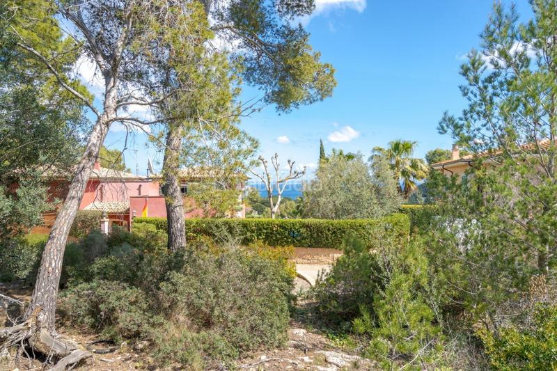 Foto 05a9cad8-36d8-49d9-9731-1e52e3fc9997. Terreno residencial se vende solar edificable con proyecto en Cala Vinyes en Calvià