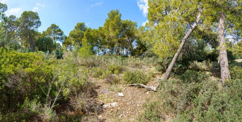 Foto 3e48cdef-a671-42b3-9db6-c1707695d799. Terreno residencial se vende solar edificable con proyecto en Cala Vinyes en Calvià