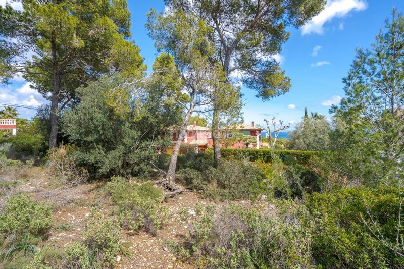 Foto 420e8dfa-e5ed-4952-8592-3399f64c6e85. Terreno residencial se vende solar edificable con proyecto en Cala Vinyes en Calvià