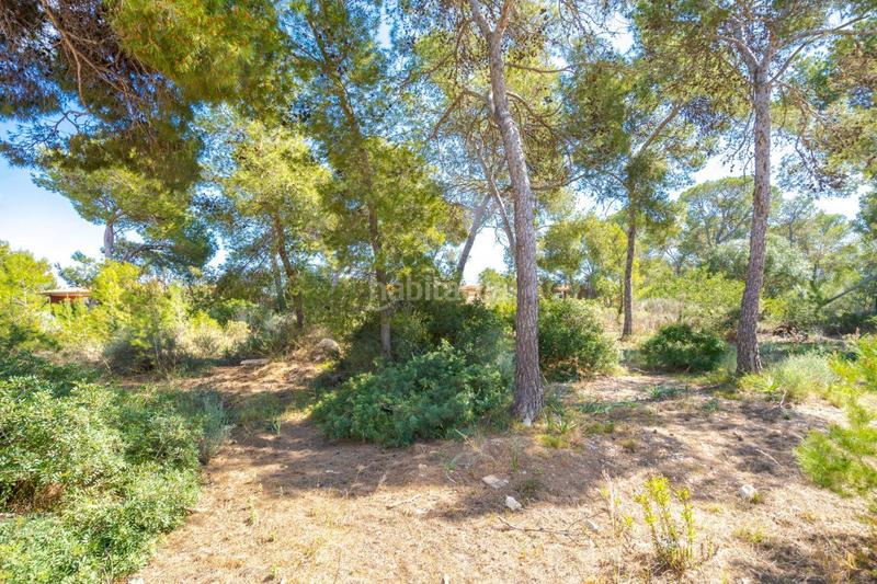 Foto 4a577034-8d26-410e-83e9-c4a31207ede5. Terreno residencial se vende solar edificable con proyecto en Cala Vinyes en Calvià