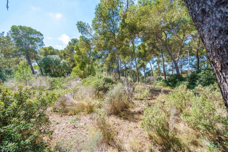 Foto 6ea8030e-b2ce-4e8c-ae5a-23e6ac3d4525. Terreno residencial se vende solar edificable con proyecto en Cala Vinyes en Calvià