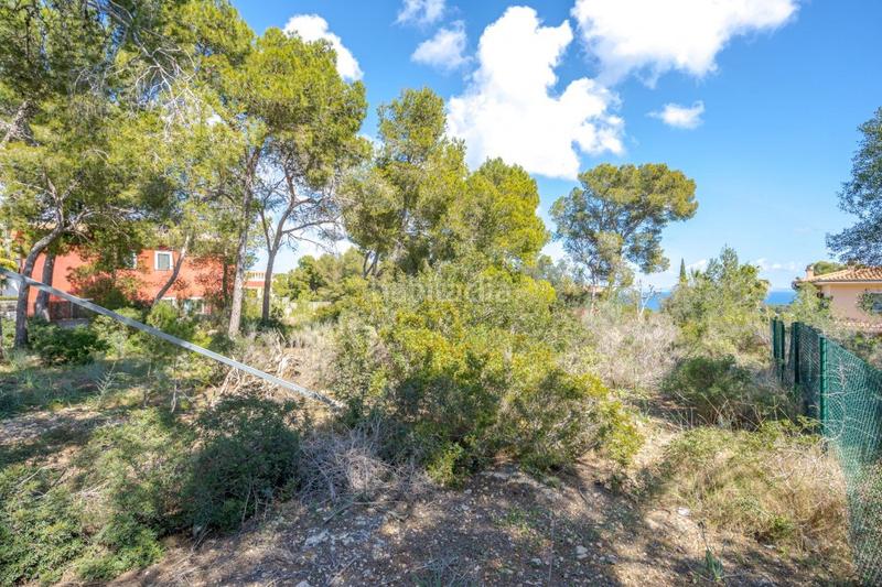 Foto 8d056e1e-3509-4112-a71d-620744e47905. Terreno residencial se vende solar edificable con proyecto en Cala Vinyes en Calvià