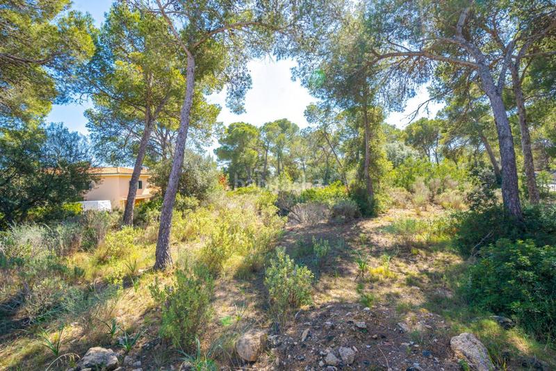 Foto a3410e12-f692-4a95-a002-5a1f8f6b60c4. Terreno residencial se vende solar edificable con proyecto en Cala Vinyes en Calvià