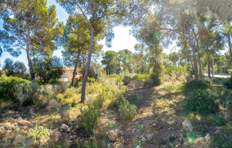 Foto d2b498f6-05ff-46d9-88a8-a96a3750c8f9. Terreno residencial se vende solar edificable con proyecto en Cala Vinyes en Calvià
