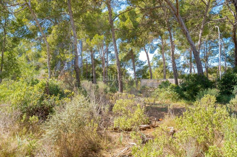 Foto e3cc3ac9-2990-4b8f-a8ff-359a1f729969. Terreno residencial se vende solar edificable con proyecto en Cala Vinyes en Calvià