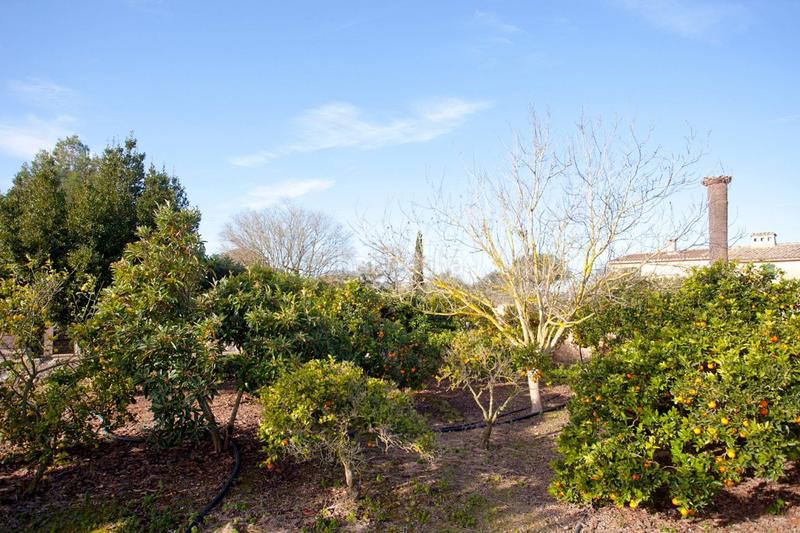 Foto 0bdc697e-9a24-40da-a9f6-f5fbf42e8bf7. Masia amb calefacció aparcament piscina a Ariany