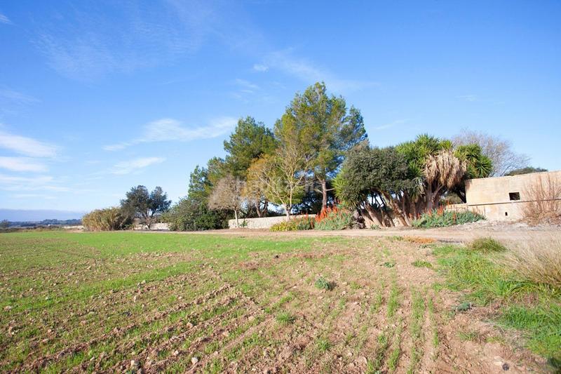 Foto 2eecc8d0-d25b-4287-954f-6099035392ce. Masia amb calefacció aparcament piscina a Ariany