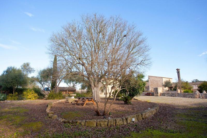 Foto 7c633528-ca8a-41bf-8949-327243168699. Masia amb calefacció aparcament piscina a Ariany