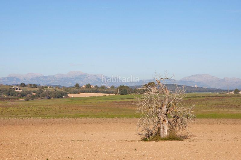 Foto b1c6c5d9-6305-44fd-a029-59ac375b68b8. Masia amb calefacció aparcament piscina a Ariany
