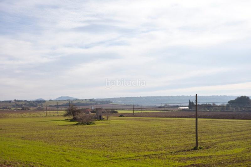 Foto f590b2dd-994c-4c78-a8e2-9267c4237ccf. Masia amb calefacció aparcament piscina a Ariany