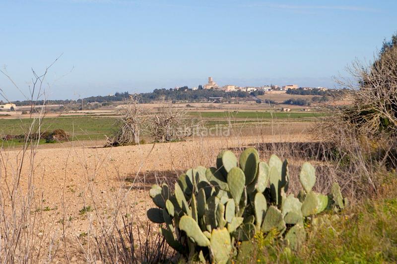 Foto f5e87c71-9652-4183-91ed-b2ba8429aebd. Masia amb calefacció aparcament piscina a Ariany