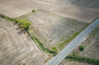 Rural plot in Santa Margalida Poble. Terreno rustico en santa margalida