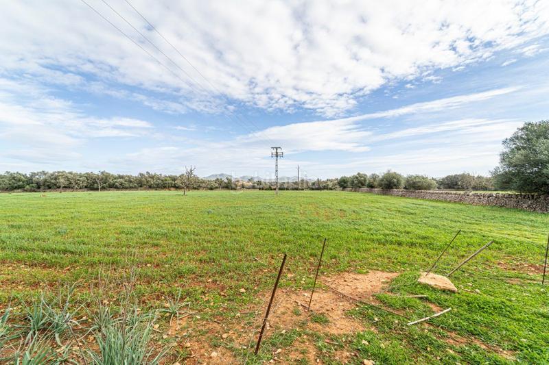 Foto 06fbe6fd-def5-4717-81b2-e3c307f1587c. Terreny residencial a S´Horta - Cas Concos des Cavaller - Es Carritxó Felanitx