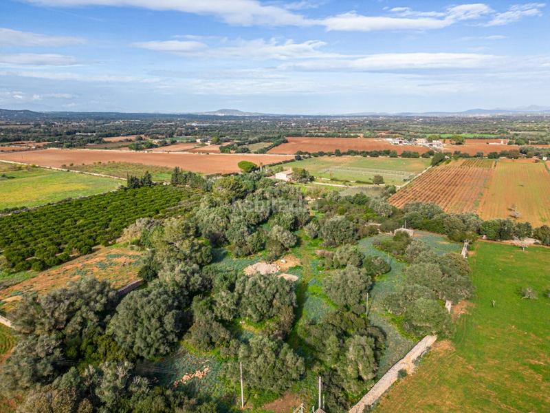 Foto 12154819-dcea-4c7a-8e59-c2c134eb9484. Terreny residencial a S´Horta - Cas Concos des Cavaller - Es Carritxó Felanitx