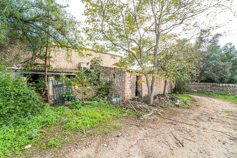 Foto 6661745f-099e-4f4e-90c1-d8fa845edb45. Terreny residencial a S´Horta - Cas Concos des Cavaller - Es Carritxó Felanitx
