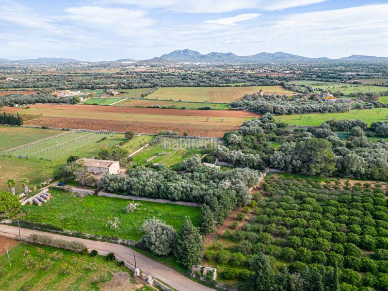 Foto 6dbfc35a-4973-4434-96f2-284fe38b6a6a. Terreny residencial a S´Horta - Cas Concos des Cavaller - Es Carritxó Felanitx