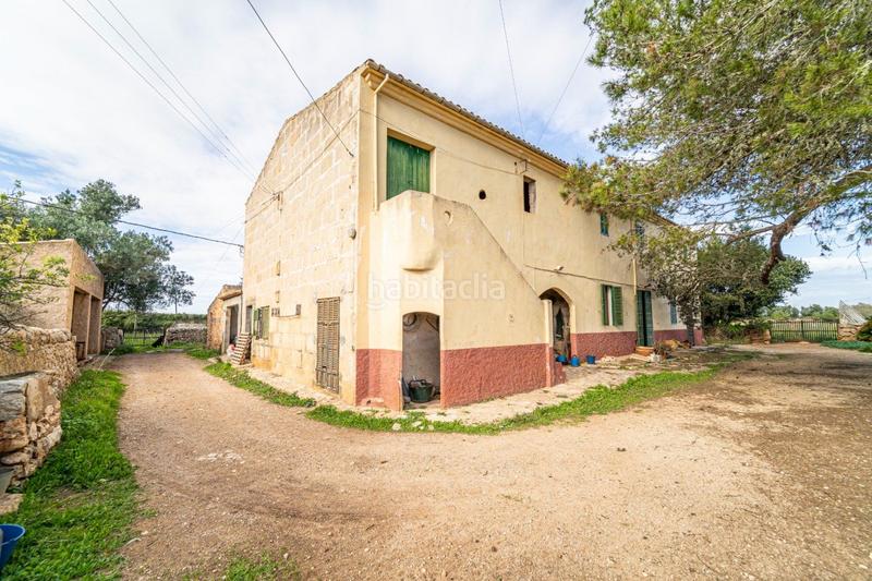 Foto 95948be5-bcc9-4ed3-819a-901d5a72b27d. Terreny residencial a S´Horta - Cas Concos des Cavaller - Es Carritxó Felanitx