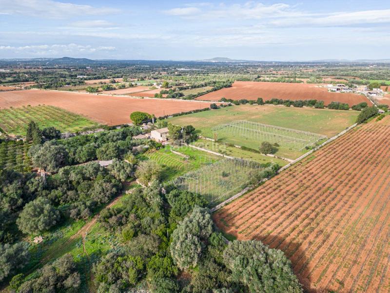 Foto a6d68119-625b-4db9-b616-75e8662de6a0. Terreny residencial a S´Horta - Cas Concos des Cavaller - Es Carritxó Felanitx