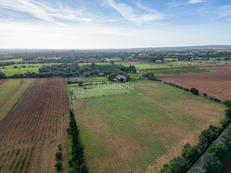 Foto ca43f524-aaa2-473a-8981-18f3c5f47595. Terreny residencial a S´Horta - Cas Concos des Cavaller - Es Carritxó Felanitx