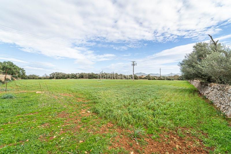 Foto ccc13985-0f66-4442-89d0-9593e41edd62. Terreny residencial a S´Horta - Cas Concos des Cavaller - Es Carritxó Felanitx