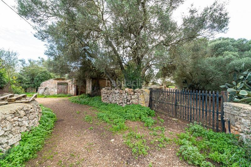 Foto d54382c6-7d1e-4ee8-9d02-e97fefdf7262. Terreny residencial a S´Horta - Cas Concos des Cavaller - Es Carritxó Felanitx
