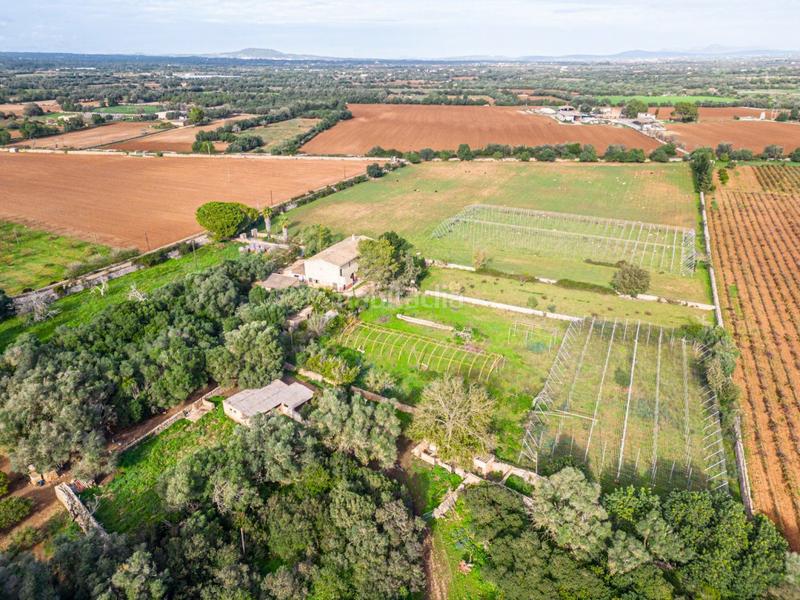 Foto e9285940-ae1a-4886-9079-fe332701959f. Terreny residencial a S´Horta - Cas Concos des Cavaller - Es Carritxó Felanitx