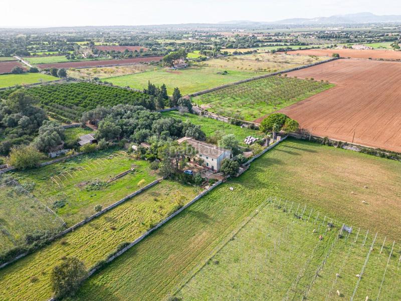 Foto fa13ffc5-efa9-4c20-84d3-1abd9e4dcc27. Terreny residencial a S´Horta - Cas Concos des Cavaller - Es Carritxó Felanitx