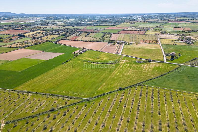 Foto 00d328f4-9dd6-4a01-85de-b63b96d2b6c0. Terreno residenziale in Felanitx poble Felanitx