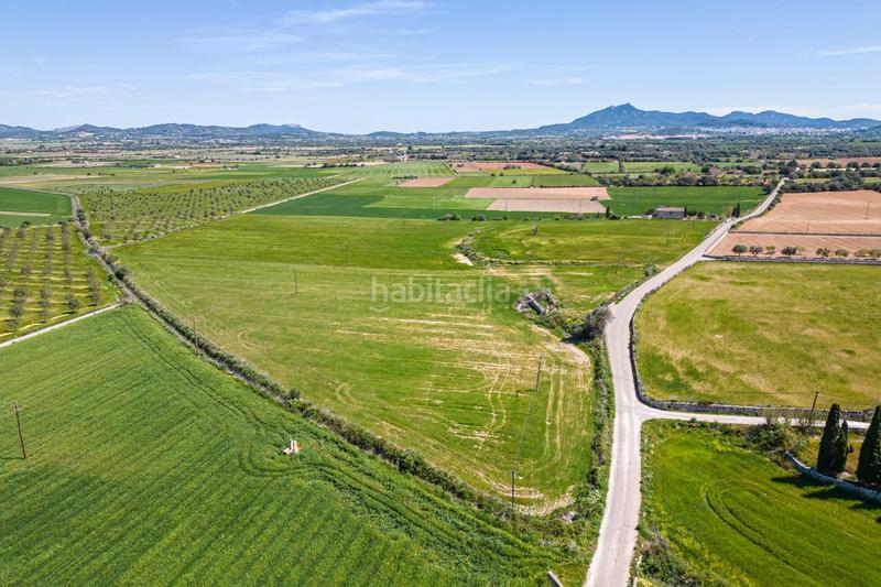 Foto 1825e3b8-3dbc-4645-9062-36e953338bed. Terreno residenziale in Felanitx poble Felanitx