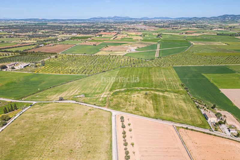 Foto 260f9a35-09ee-498d-ae7e-d797d60dab83. Terreno residenziale in Felanitx poble Felanitx