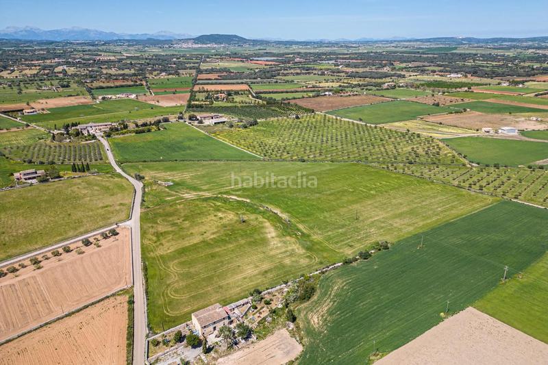 Foto 32c78ed1-0e1f-4625-8871-05c775f8777a. Terreno residenziale in Felanitx poble Felanitx