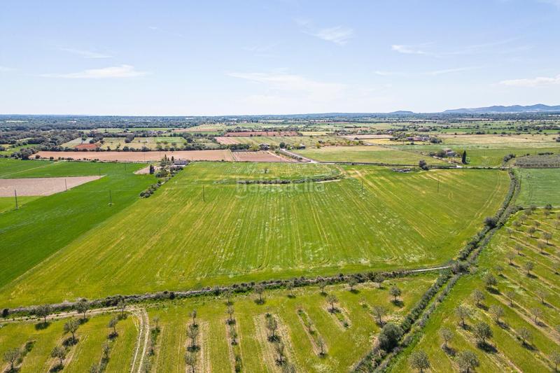 Foto 3abc050c-ea90-4a08-8722-7b61d3a1aec8. Terreno residenziale in Felanitx poble Felanitx