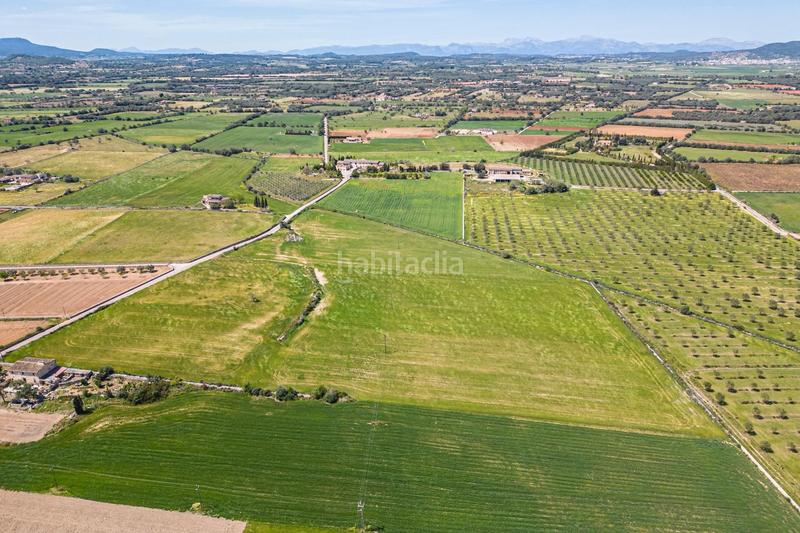 Foto 43d318ff-a125-48c2-9c2c-fbab9c7d5db4. Terreno residenziale in Felanitx poble Felanitx
