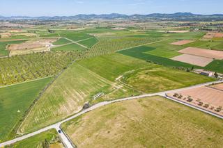 Terreny residencial a Felanitx Poble. Finca edificable en felanitx