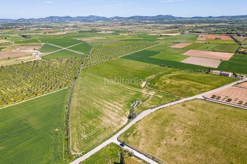Foto 622c686b-8f77-4112-b9f0-08beb9647af9. Terreno residenziale in Felanitx poble Felanitx