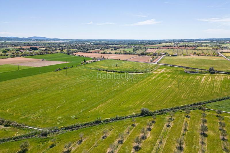 Foto 63909763-bed6-4777-8f10-1918aa73f8b9. Terreno residenziale in Felanitx poble Felanitx