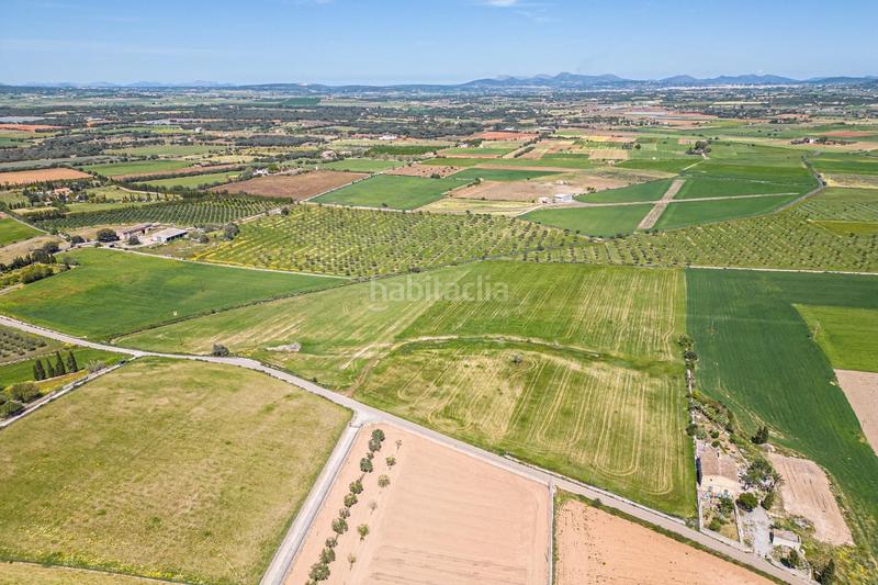 Foto 6a81f424-2609-4051-b90d-d52067e9f836. Terreno residenziale in Felanitx poble Felanitx