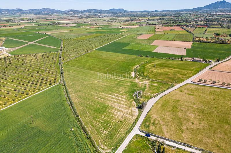 Foto 6f6b3e14-e321-4ce4-8d72-cc3a277945c0. Terreno residenziale in Felanitx poble Felanitx