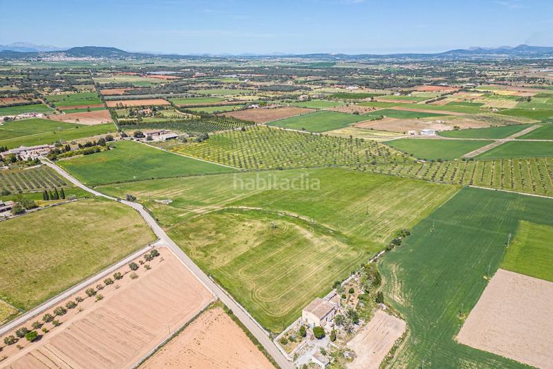 Foto 7369c2d2-1e8a-4aae-9095-1b7ba3d69dee. Terreno residenziale in Felanitx poble Felanitx