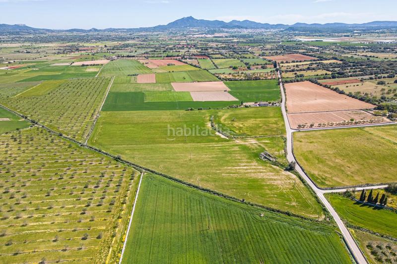 Foto 74bab546-763e-4158-b441-121466723403. Terreno residenziale in Felanitx poble Felanitx