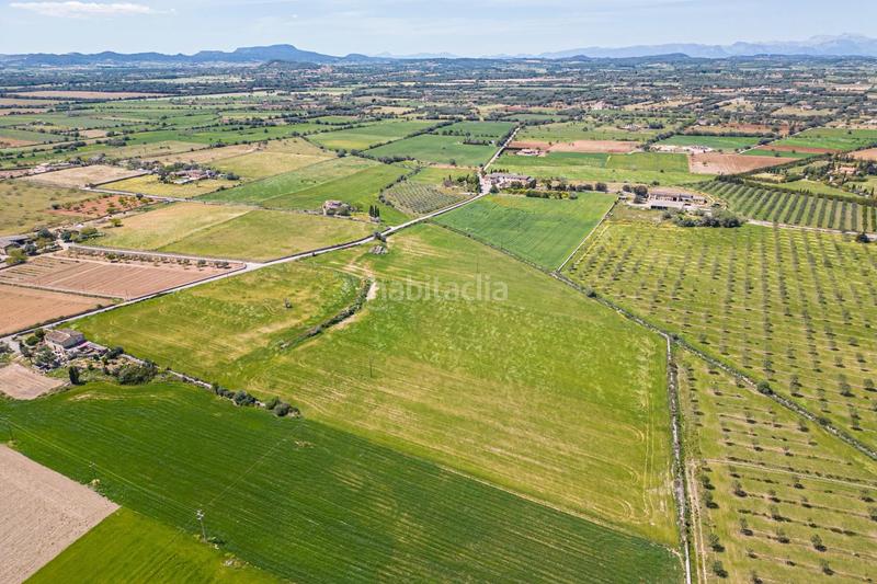 Foto 8446326c-c3d3-4f72-8e7a-6ac391b6c584. Terreno residenziale in Felanitx poble Felanitx