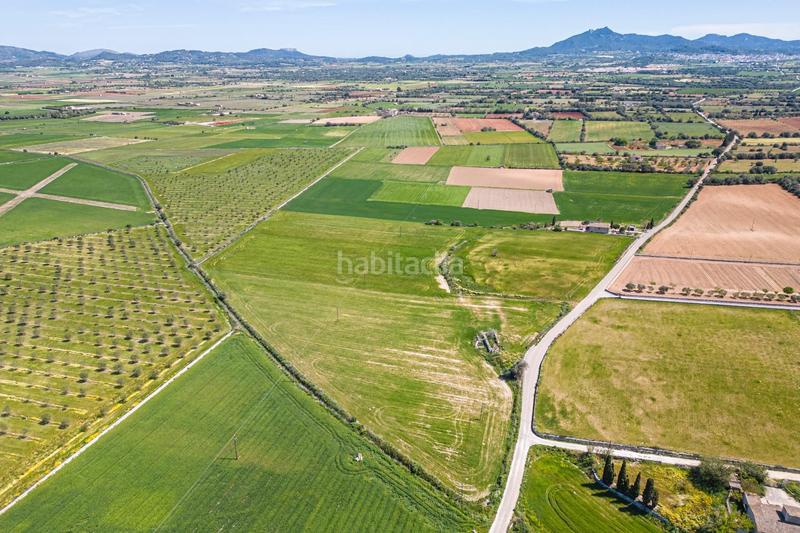 Foto aa5e53bf-1b74-4f8a-bf95-95188fb38663. Terreno residenziale in Felanitx poble Felanitx