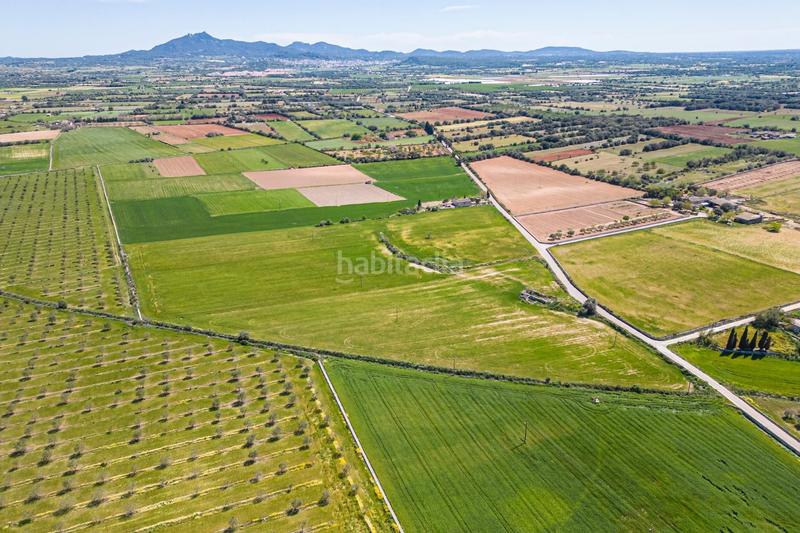 Foto afab9388-b09e-456b-b855-58ff99341d31. Terreno residenziale in Felanitx poble Felanitx
