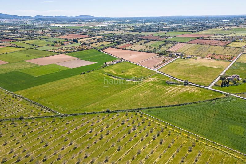 Foto d4df9ddf-72e8-4019-af59-1b1305dd0e86. Terreno residenziale in Felanitx poble Felanitx